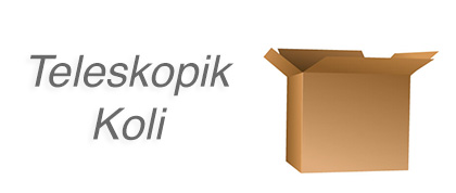 Teleskopik Koli